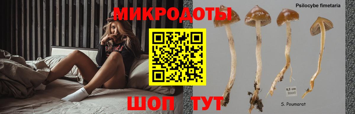 как найти наркотики  Галлюциногенные грибы Cubensis  Вход с VPN  Среднеуральск 